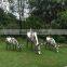 Stainless Steel Garden Deer Sculpture