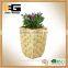 Plastic Flower Pot Garden Planters Hotel Basket
