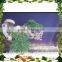 Best price hot sale domestic artificial small bonsai pine tree