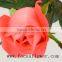 high quality Wholesale love ecuadorian roses freedom malaysia cut flowers moive star for home from kunming