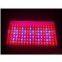LED Grow Light