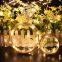 USB LED String Copper wire 10M 100LEDs Wedding Party Holiday Christmas Decoration LED Fairy String Light