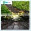 China Eco-friendly Agricultural Black PP Weaven Plastic Ground Cover