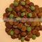 jinan saixin Low Price Pet Chews Extruder Machinery dog Sanck Food Machine Dog Cat treats Snacks Making Production Line