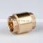 OEM 1/2 3/4 1 11/4 2 Inch NPT Brass Water Vertical Spring Loaded Ball lift Check Valve