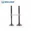 European vehicle top quality car intake engine valve for passat b5 1.8T