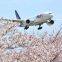 Italyimportandexportbyair ItalyDDU Italy