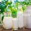 milk sterilizing machine / mini milk pasteurizer machine