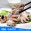 Frozen baby octopus