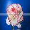 Multi-colored Fresh Cut Carnations Carnation Flower Fresh