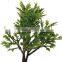 arhictecture model tree for house design