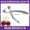 Fruit cherry pitter tool