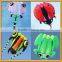 Pilot kite, Lifter, large show kite, TRILOBITE, FROG, LADYBUG,TADPOLE from Kite factory                        
                                                Quality Choice