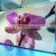 Unique products around world p2.5 indoor full color led screen