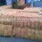 Coconut Fiber High quality (qq : 2598494113)