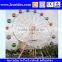 china Supplier Big 30m height sightseeing Ferris Wheel