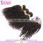 8A grade top quality kinky curly real mink brazilian hair virgin hair bundles with lace closure