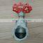 316 Stainless Steel Globe Valve Threaded ANSI