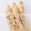 sheng shai shen China supplier wholesale suncured ginseng root slices