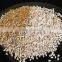 Sesame - Sortex