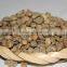 Natural and Bulk Packaging Raw Green Coffee Beans