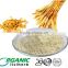 hot sale hydrolyzed wheat protein for food vital wheat gluten