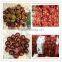 2015 New Corp Hot Sale 30-40/40-60/90-110 Sweet Organic Fresh Chestnuts