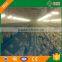 poultry equipment for breeder farming/Breeder pan feeder for chicken house equipment