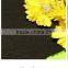 Animal Feed - Sodium Humate ( Feed Grade )