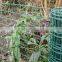 Garden plant plastic green netting square fencing