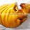 Vintage Ceramic Elephant Child Neti Pot