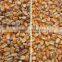 Automatic agriculture color sorter/grains processing machine