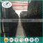 Free Sample Special Design Available 100*100mm Weld Black Square Steel Pipe