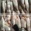 seafood price of todarodes pacificus