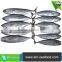Hot Selling Without Faure Marin Frozen Bonito For Cannery Factory