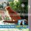 Sunny Seat Window Mounted Cat Bed as seen as on picture