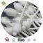 double sides plastic stick 100% cotton baby use cotton swab