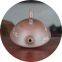 200cc Hand Painting Tea Pot Set Nixing Pottery He Huan Teapot