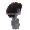 Afro kinky human hair lace front wigs woman hair wig
