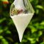 Transparent glassware olive shape hanging glass vase for home ornaments