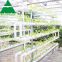 High Tech Glass Greenhouse Equipped with Hydroponic System