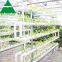 Hydroponic Agriculture PC Sheet Covering Greenhouse