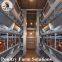 H type layer chicken cage for 50000 - 100000 birds layer /house
