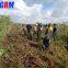 Farm equipment tapioca roots uprooting harvesting machines / tapioca harvester South America