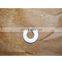 SAIC- IVECO FPT Cursor 13 Engine FAT168889040 Bolt gasket