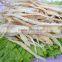 nanguang factory price Dried Cod Fillet 15cm up for sale