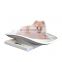 HC-R030A veterinary equipment animal baby scale pet weighting scale for small animals 10 kg