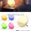 Smart Wifi Led Wake-Up Light Nature Sunrise Digital Alarm Clock Kids Night Light With Google Assistant Alexa Amazon