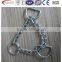 High Quality animal dog Chain Leads Dog Leash Manufacture Competitive price