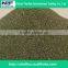 China F600 Micro Green Sic